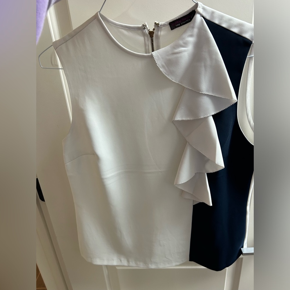The Limited tank blouse with zipper back.